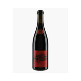 Cornas Rebelle 2021 | BRUYERES