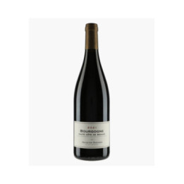 Bourgogne Hautes-Côtes de Beaune 2021 | BAVARD JACQUES