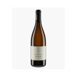 PANTHALASSA Vin de France | FOSSE-SECHE