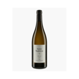 Vézelay 2022 | SAINTE-MADELEINE