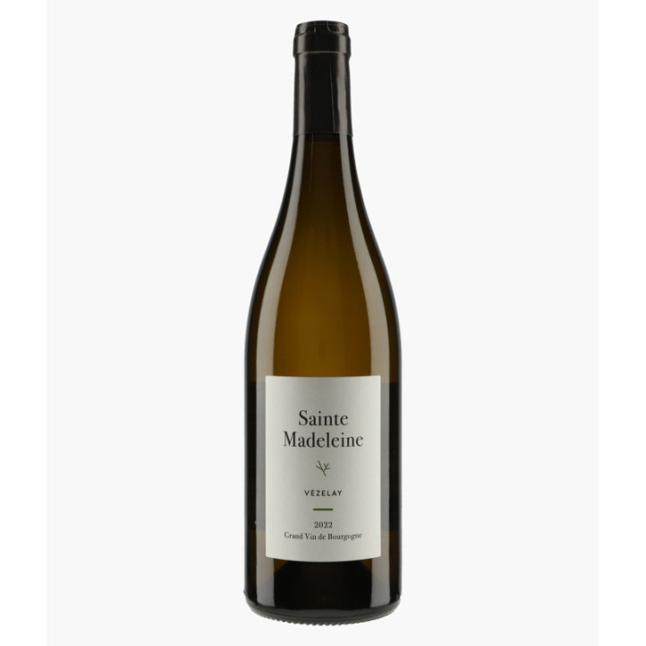 Vézelay 2022 | SAINTE-MADELEINE