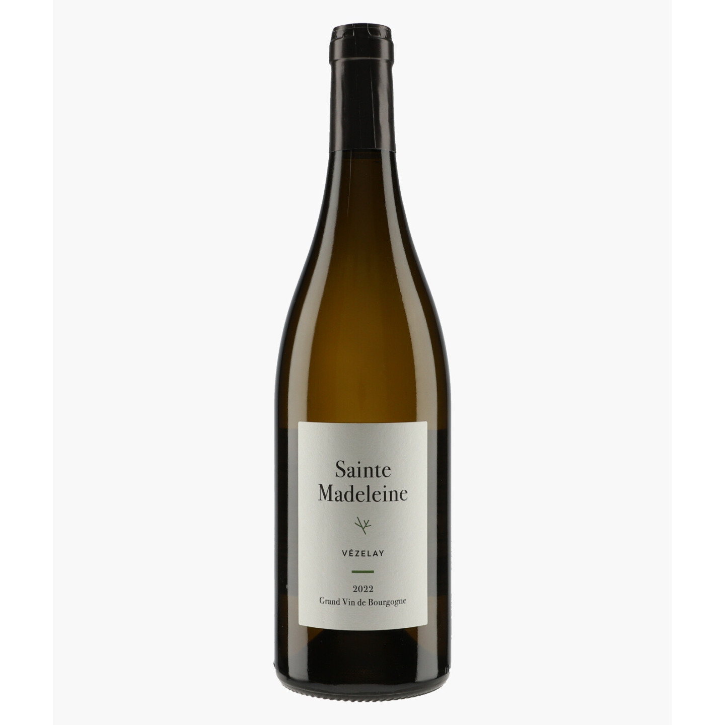Vézelay 2022 | SAINTE-MADELEINE