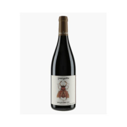Côteaux Bourguignons Gamayoptère Gamay du Pierrot 2022 | LIENHARDT ANTOINE