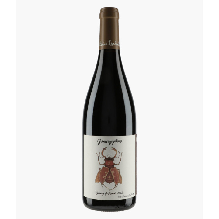 Côteaux Bourguignons Gamayoptère Gamay du Pierrot | LIENHARDT ANTOINE