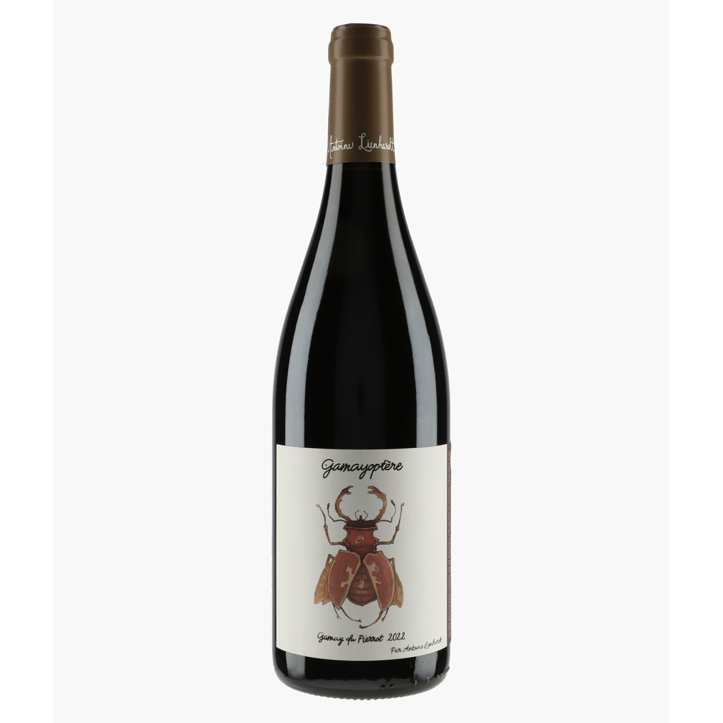 Côteaux Bourguignons Gamayoptère Gamay du Pierrot | LIENHARDT ANTOINE