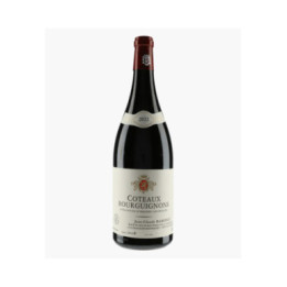 Côteaux Bourguignons | RAMONET J-C