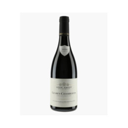 Gevrey-Chambertin | AMIOT LEON