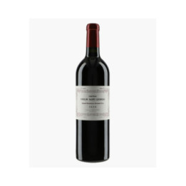 Château Moulin Saint-Georges 2020 | CHÂTEAU MOULIN SAINT-GEORGES