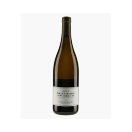 Saint-Aubin 1er Cru Combes au Sud 2022 | BAVARD JACQUES