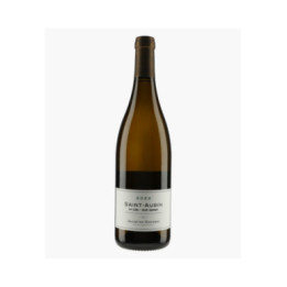 Saint-Aubin 1er Cru Sur Gamay 2022 | BAVARD JACQUES