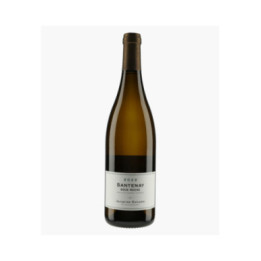 Santenay Sous Roche 2022 | BAVARD JACQUES