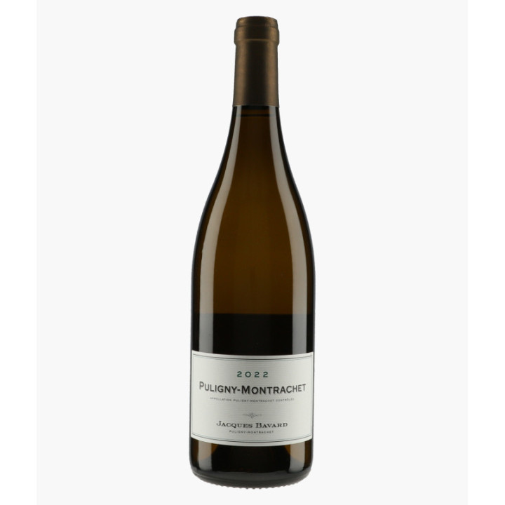 Puligny-Montrachet | BAVARD JACQUES