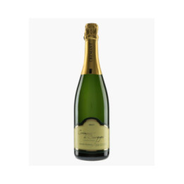 Crémant de Bourgogne Brut | PONELLE Daniel