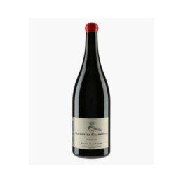 Ruchottes-Chambertin Grand Cru 2022 | MAGNIEN HENRI