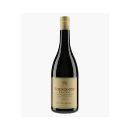 Bourgogne Pinot Noir Les Belles Parcelles | MORET DAVID