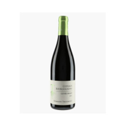 Côteaux Bourguignons Cuvée Hugo | TRUCHETET