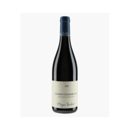 Gevrey-Chambertin 2021 | TRUCHETET MORGAN