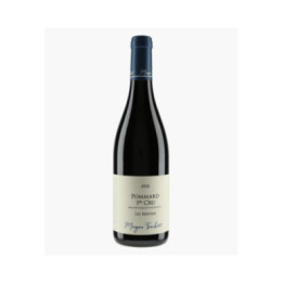 Pommard 1er Cru Les Bertins 2021 | TRUCHETET MORGAN