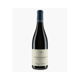 Gevrey-Chambertin 2022 | TRUCHETET MORGAN