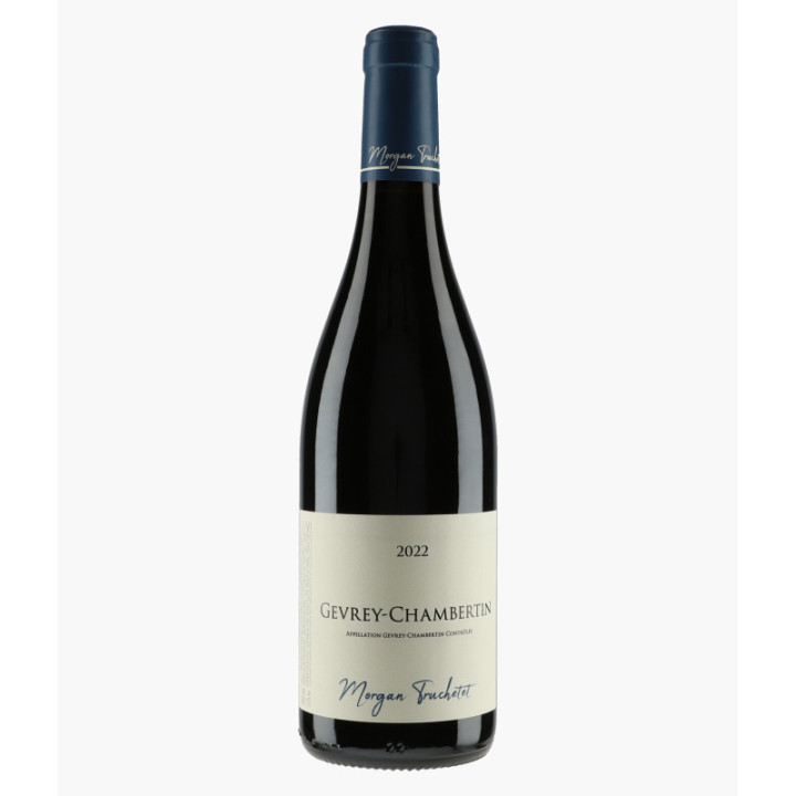 Gevrey-Chambertin 2022 | TRUCHETET MORGAN