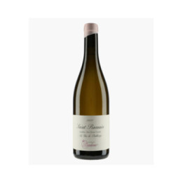 Saint-Romain Au Bas de Poillange Vignoble de Pauline 2022 | TRUCHETET MORGAN