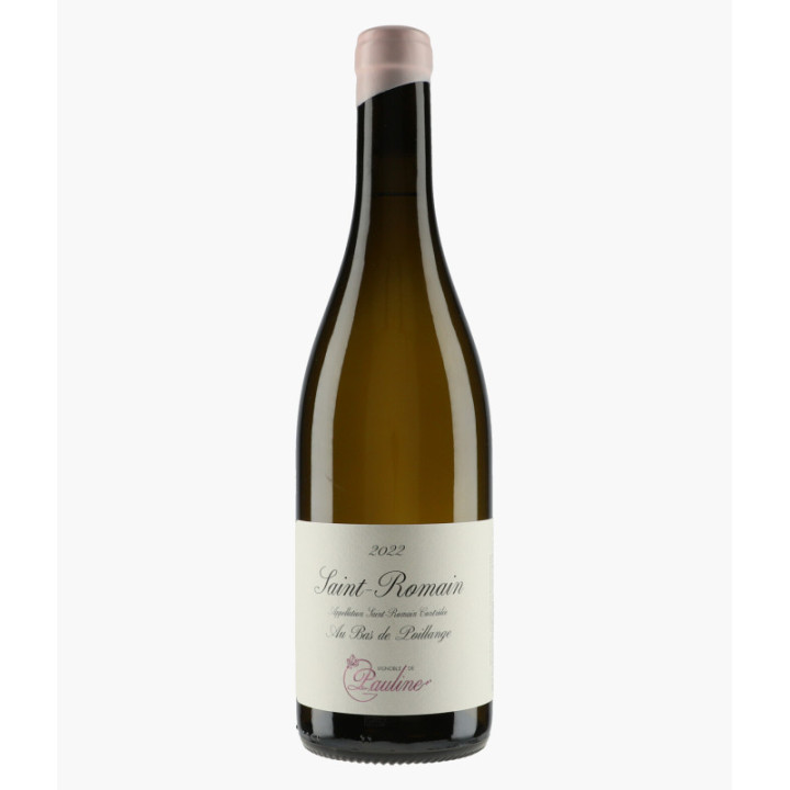 Saint-Romain Au Bas de Poillange Vignoble de Pauline 2022 | TRUCHETET MORGAN