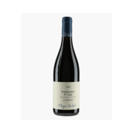Pommard 1er Cru Les Bertins 2022 | TRUCHETET MORGAN
