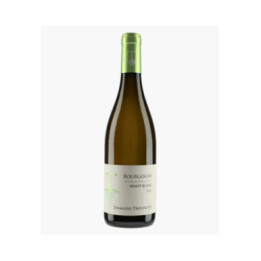 Bourgogne Pinot Blanc | TRUCHETET