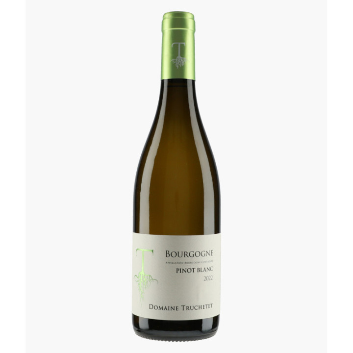Bourgogne Pinot Blanc | TRUCHETET