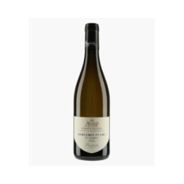 Mercurey 1er Cru En Sazenay 2022 | TUPINIER-BAUTISTA