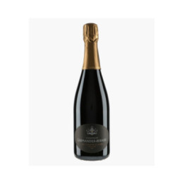 Les Chemins d'Avize Extra Brut | LARMANDIER-BERNIER