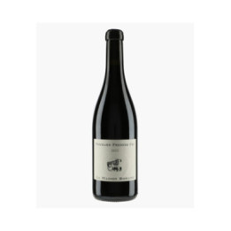 Pommard 1er Cru 2022 | MAISON ROMANE