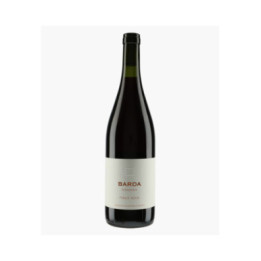 Pinot Noir Barda 2021 | BODEGA CHACRA