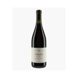Treinta Y Dos 2021 | BODEGA CHACRA