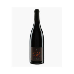 Touraine Le Côt 2011 | DOMAINE DES POETE