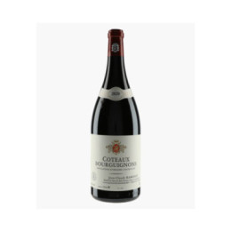 Côteaux Bourguignons | RAMONET J-C