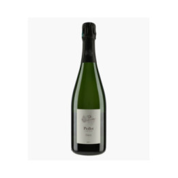 Champagne Chevry Brut | PIOLLOT PERE & FILS
