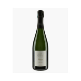 Champagne Colas Robin Brut Nature 2017 | PIOLLOT PERE & FILS