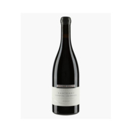 Santenay 1er Cru Les Gravières | COLIN BRUNO