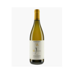Etna Bianco Gamma | CURTAZ FEDERICO