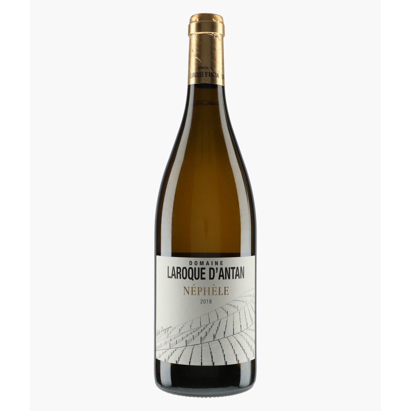 IGP Côte du Lot Nephele | LAROQUE D'ANTAN