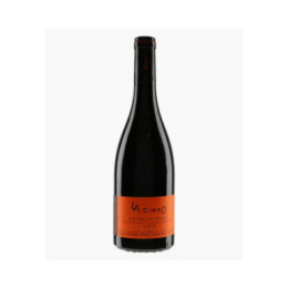 Minervois Côtes du Brian La Cinso 2019 | GROS-TOLLOT