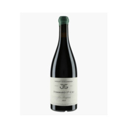 Pommard 1er Cru Les Rugiens | VIOLOT-GUILLEMARD JOANNES