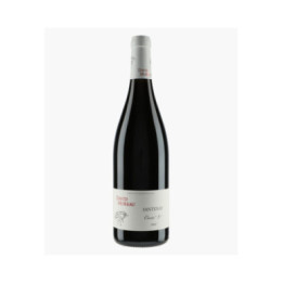 Santenay Cuvée S | MOREAU DAVID