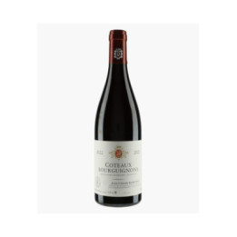Côteaux Bourguignons | RAMONET J-C