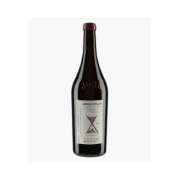 Arbois Pupillin Trousseau Gryphées 2021 | CELLIER SAINT BENOIT