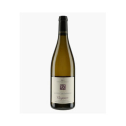IGP Des Collines Rhodaniennes Viognier Le Pied de Samson 2022 | VERNAY GEORGES