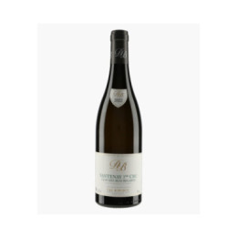 Santenay 1er Cru Clos des Beauregards | BORGEOT