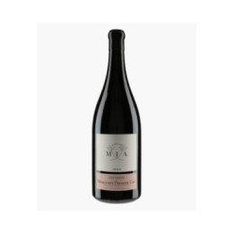 Mercurey 1er Cru Les Vasées | MIA