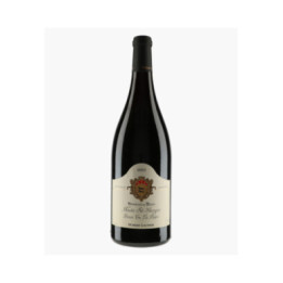 Nuits-Saint-Georges 1er Cru Les Didiers 2021 | LIGNIER HUBERT
